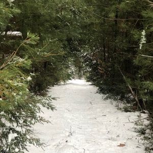 Meet your Posher, Karyn